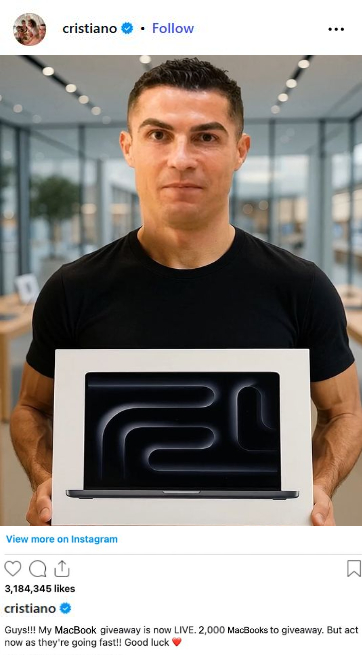 Pit Boss items for sale